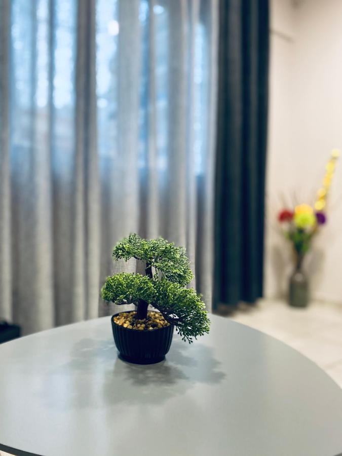 Square 1 Apartament *